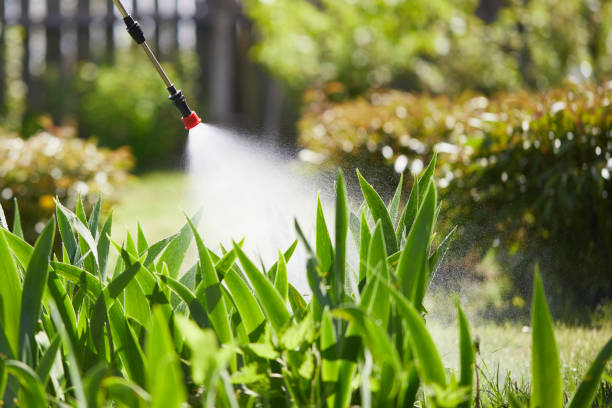 24/7 Emergency Wasp Removal experts in Tioga, TX