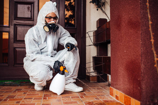 Reliable Wasp Removal contractor in Tioga, TX by Show Me Pest Control